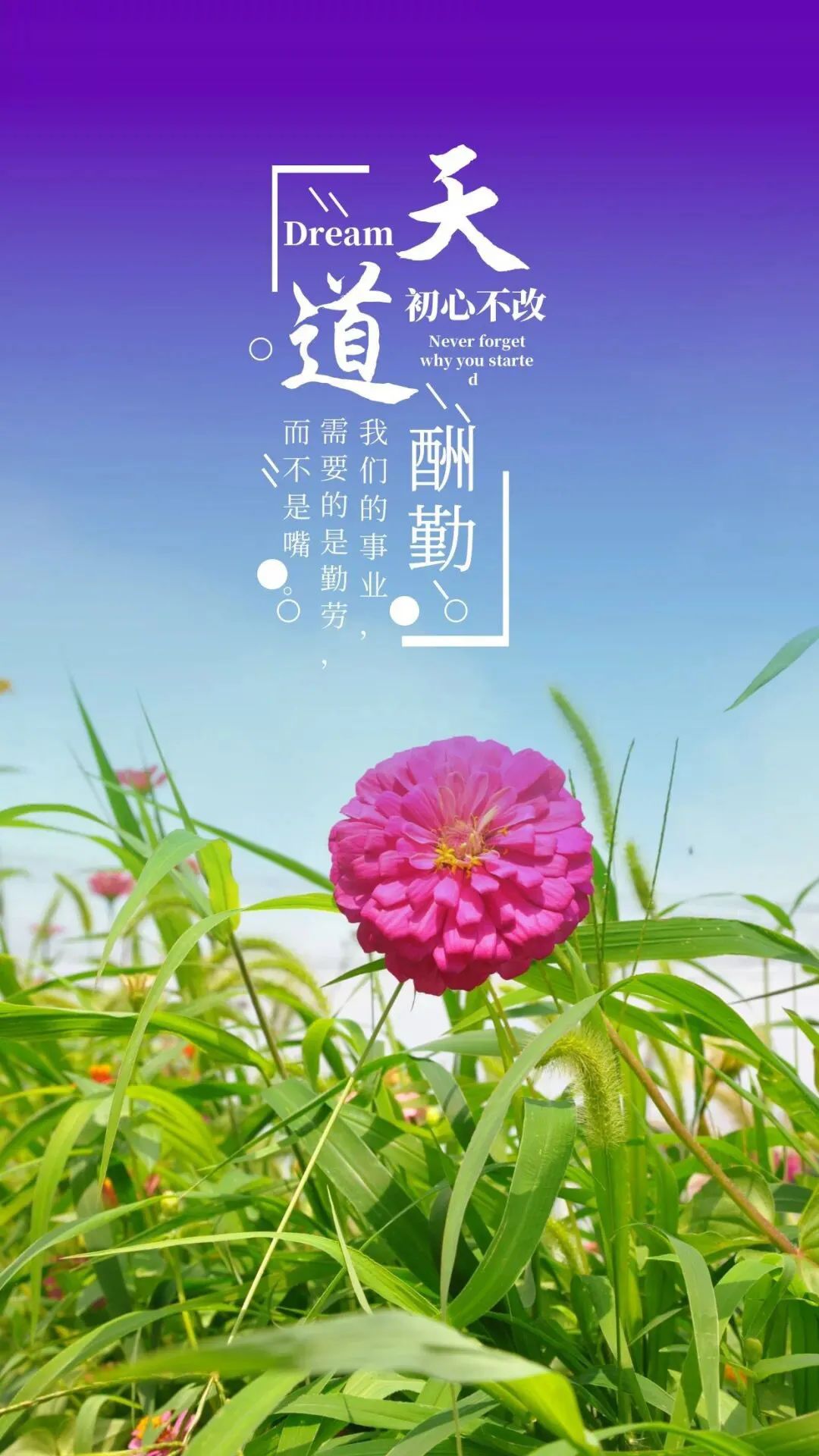 激励上进正能量句子 激励孩子上进的寄语-百科叔叔