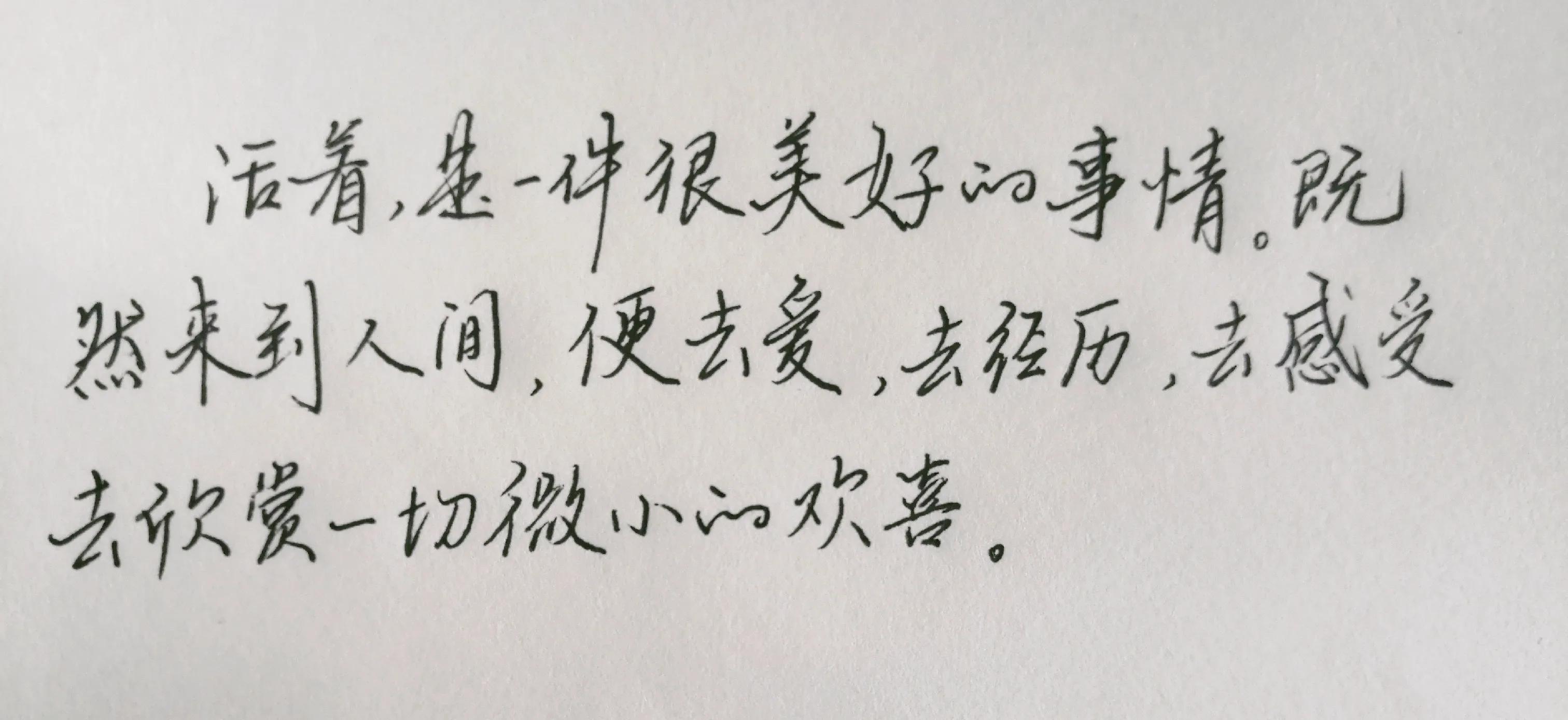 好句摘抄第2天：相信我！只需要你一分钟的时间，就让你爱上生活