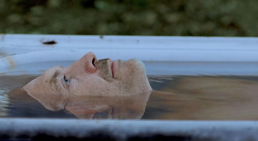 获奖预算影片《The Land》选用BMD摄影机和DaVinci Resolve完成制作