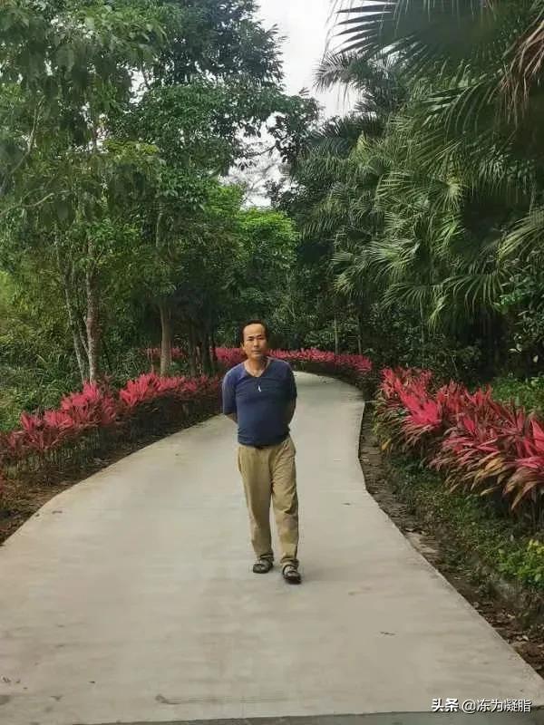 一点都不怪：我赋牙齿以健康使命