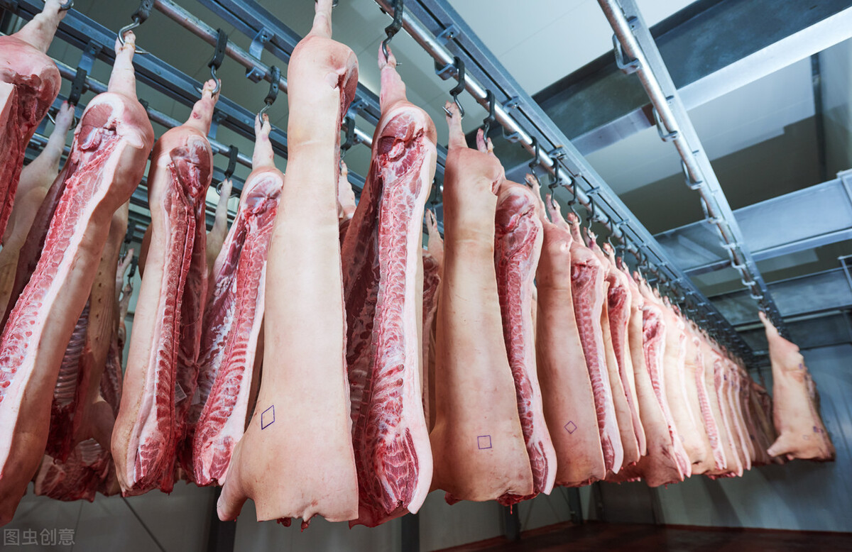 猪价预警，短期高点已至，养猪人赶紧卖猪，9月30日全国生猪价格