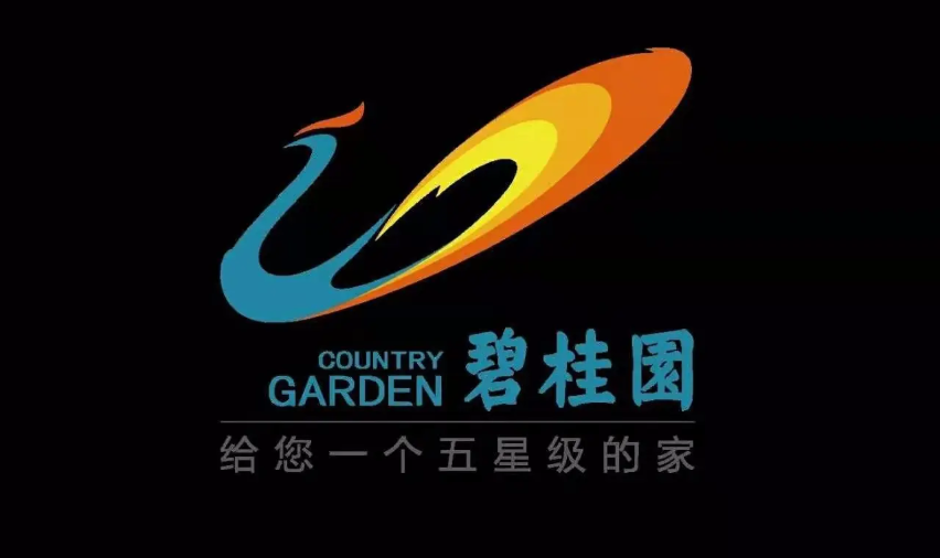 第一大房企碧桂园:面临抉择-民航之翼