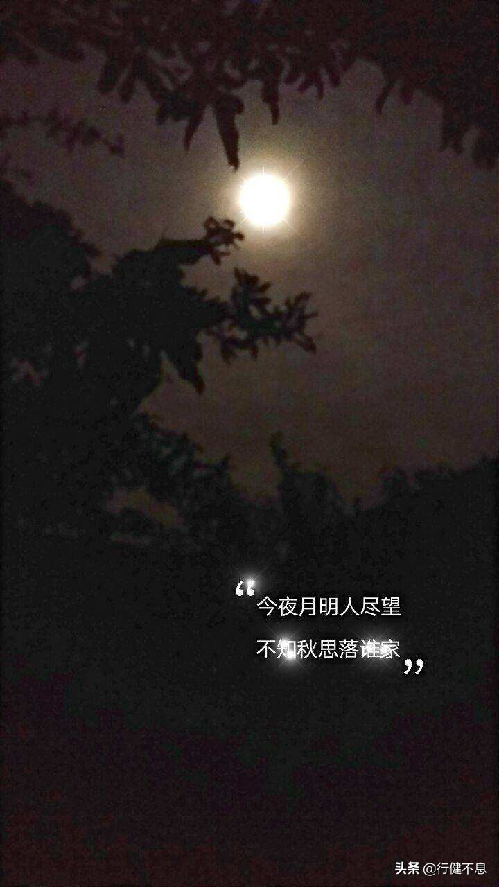 明月何曾是两乡：十首咏月的著名唐诗，欣赏十位大诗人的情怀