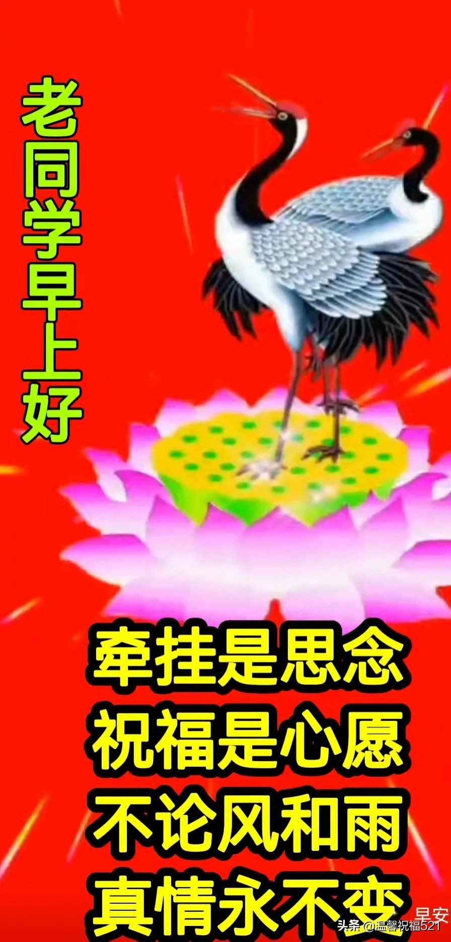 创意的亲人朋友早安图片带祝福语 温馨的春天早上好问候语图片带字