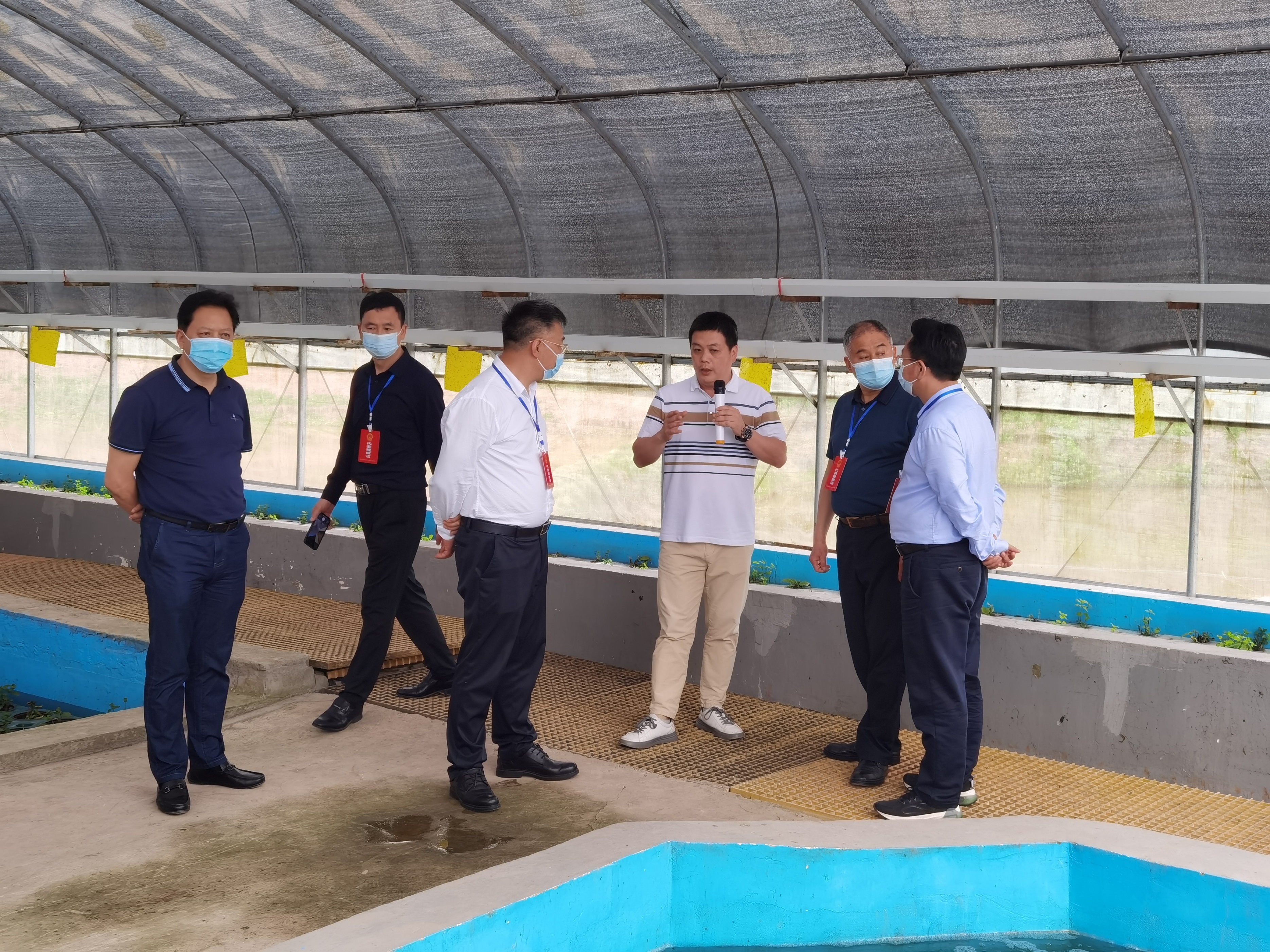 永川區人大代表帶隊去鄉村調研并視察金石村智慧農業基地