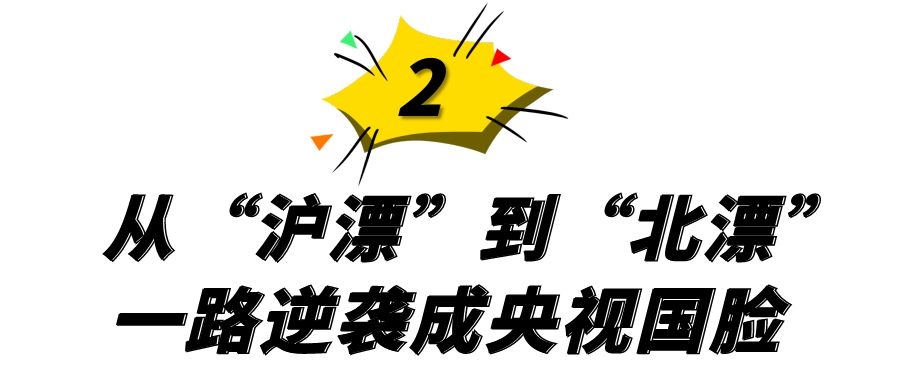 欧阳夏丹简历(央视“国脸”欧阳夏丹，销声匿迹一年半，离职原因成谜)