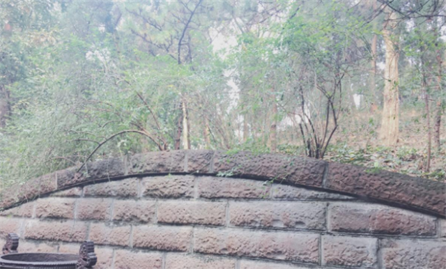 1995年，四川一山丘常年寒气逼人，考古队赶来查探