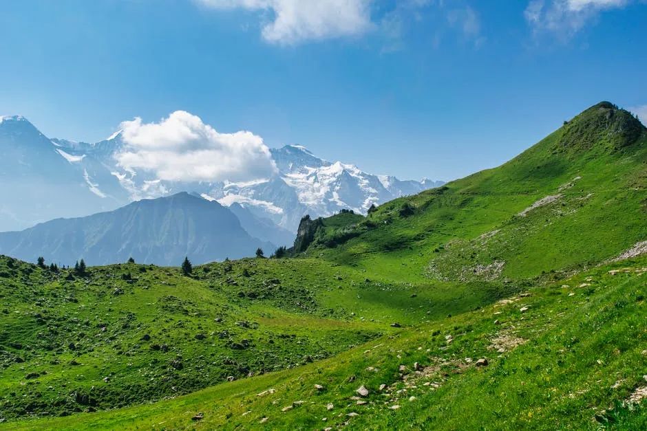 施工合同无效时，是据实结算，还是按合同结算？