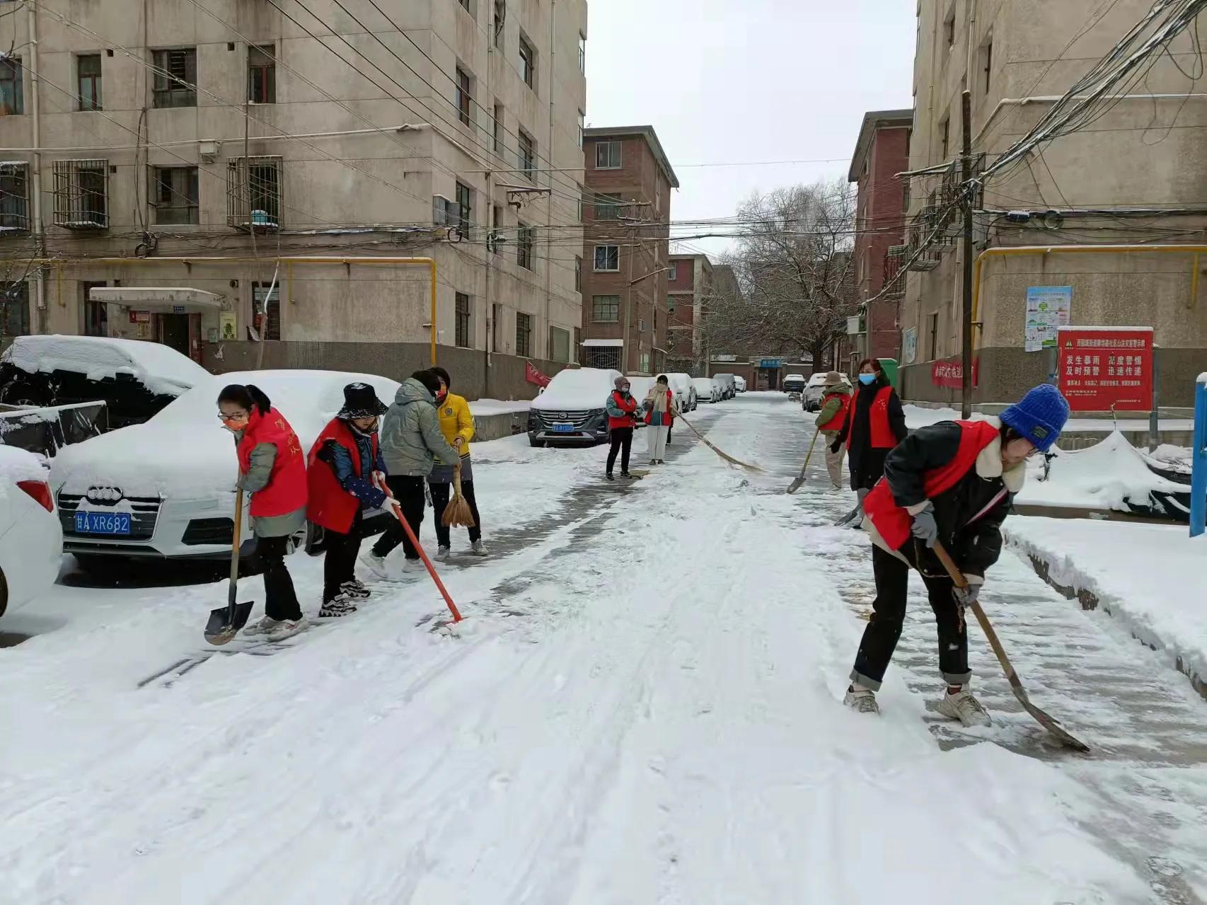 “社工委”齐心清积雪 “小行动”保障大民生——西固区西固城街道“社工委”雪天行动暖人心