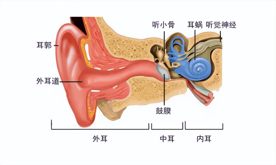 轻中度听障患者如何选购辅听耳机？音科思风筝2.0保障听力