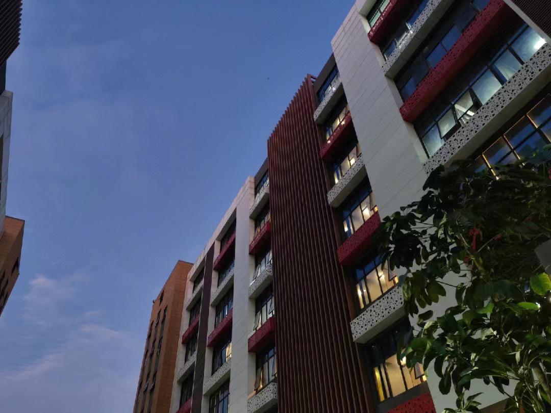 摄影师都推荐的3款影像手机，拍照堪比“小单反”，旅行打卡必备