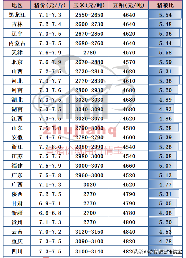 涨涨涨！千万别停！局地逼近8元！猪价触底反弹了吗？