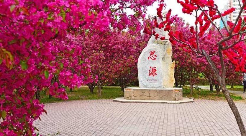 权威！中国大学排名最新公布：中国农业大学稳居领域第一，全国30强！