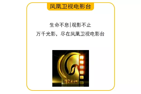 2022年,这12部电影千万不要错过