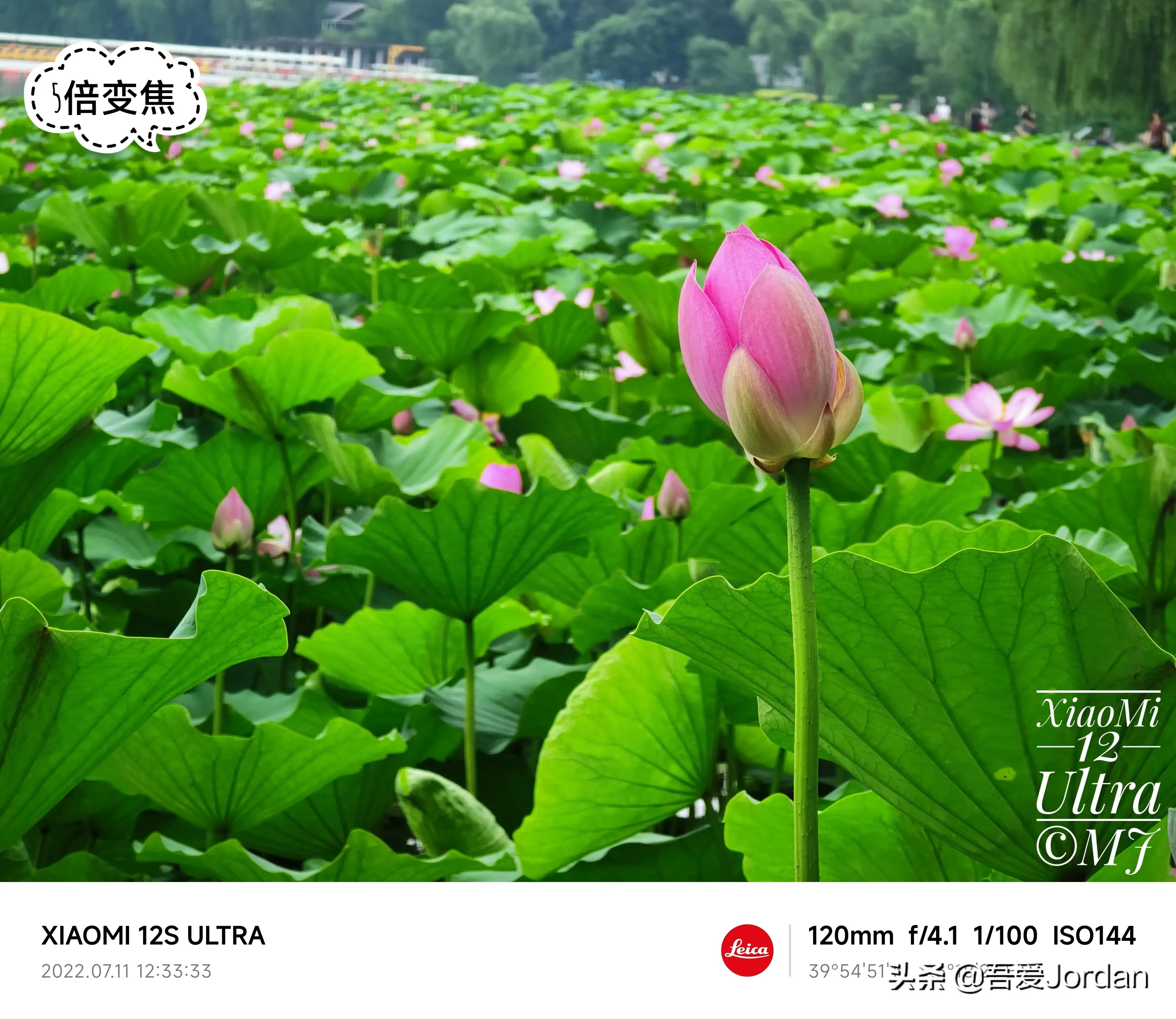 小米12S Ultra与华为Mate40RS长焦对比