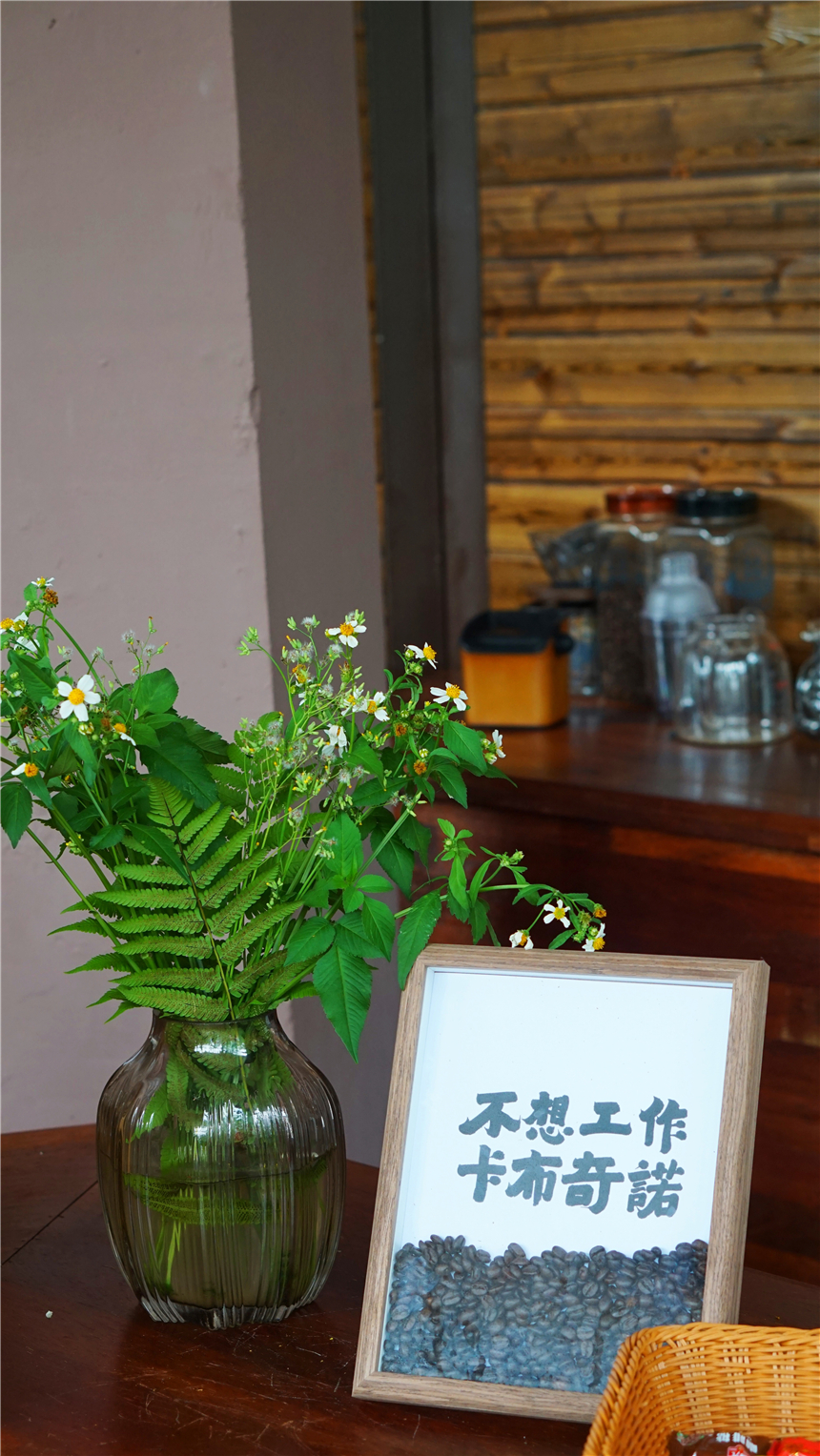 自驾海南，探寻雨林秘境，黎族村落到茶园深处，4天3晚游玩全攻略