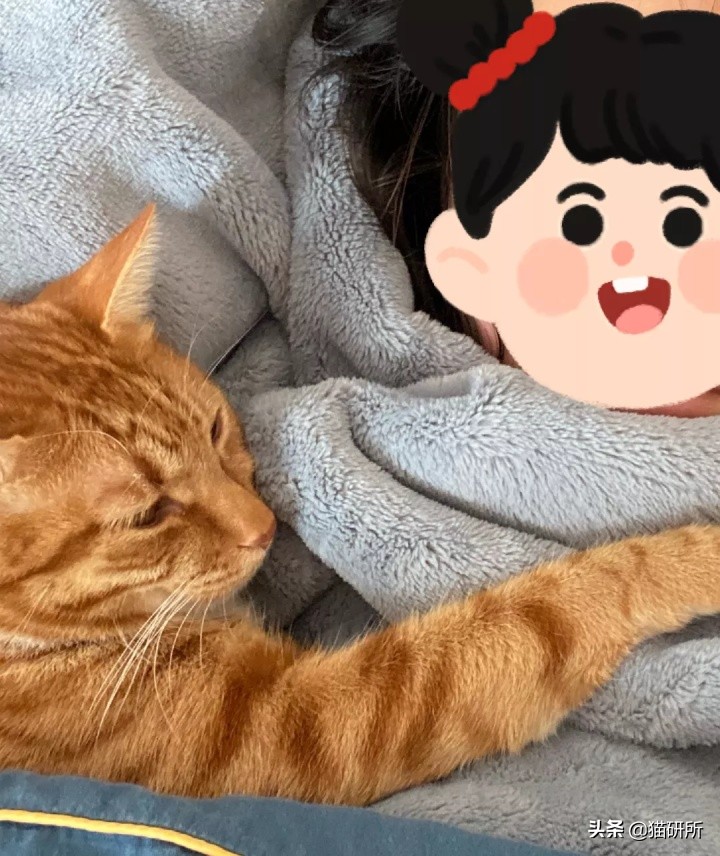 猫咪半夜蹦迪，如何友好地将TA请出卧室