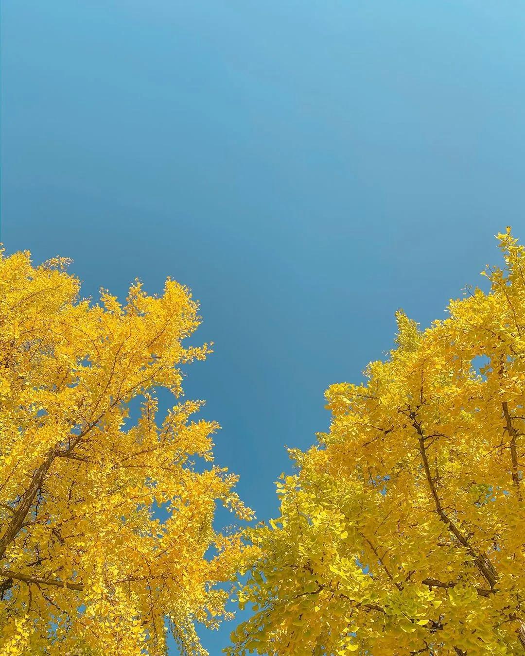 今天开始,工作一顺百顺,财运旺盛,事业蒸蒸日上