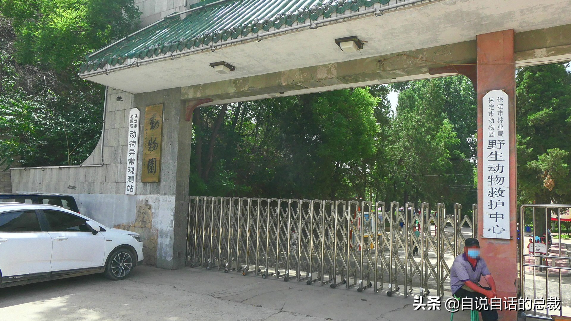 为什么动物都怕鹅？有鹅的地方没有蛇？大鹅的真实面貌超出你想象