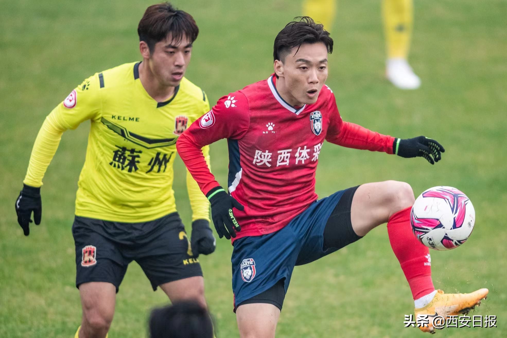 杨贺为什么不去中超（网传已签约北京国安不实陕将杨贺：深爱陕西 为西北狼继续效力）-趣拿体育