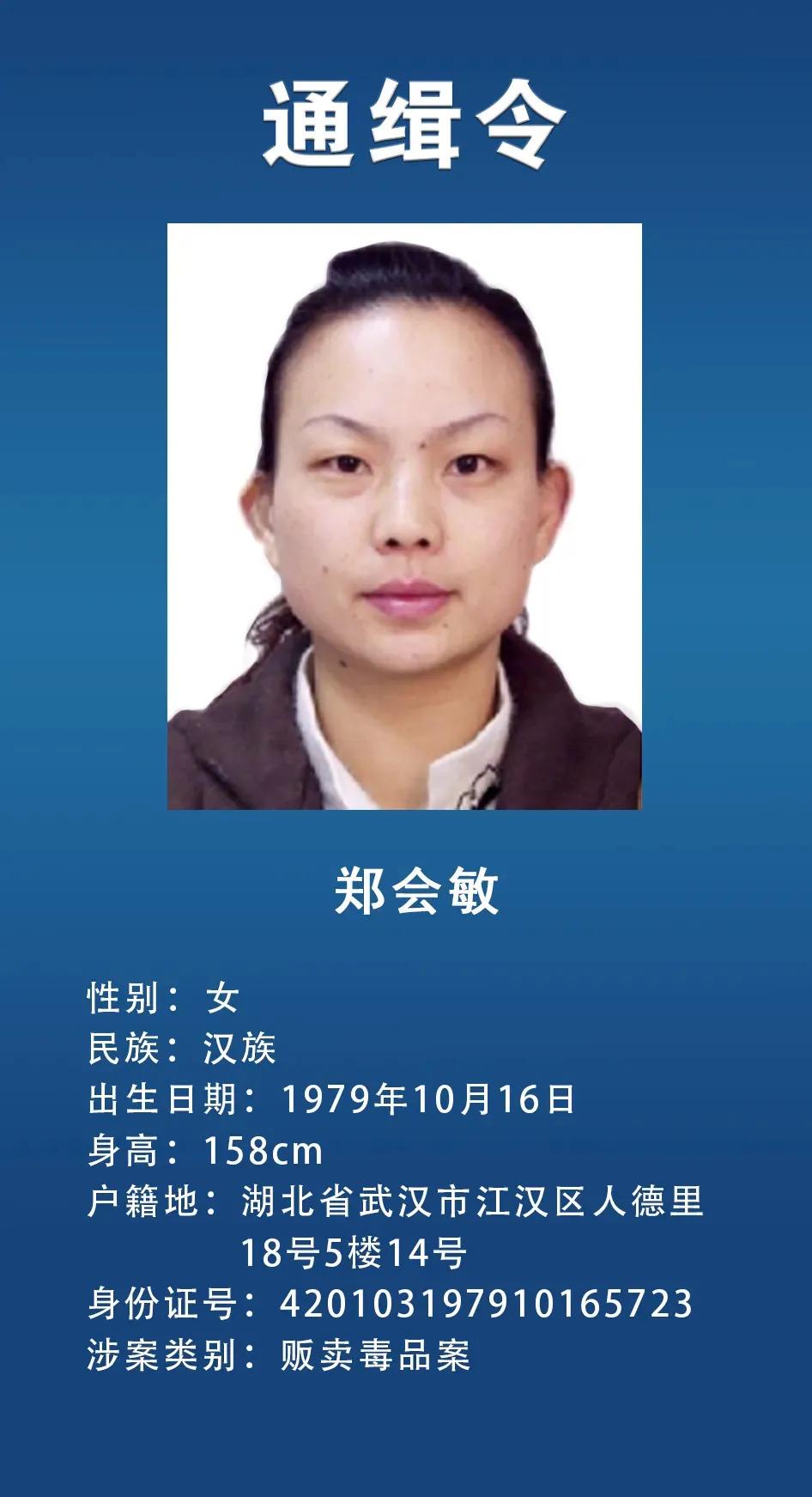 网上通缉犯,网上通缉犯怎么查