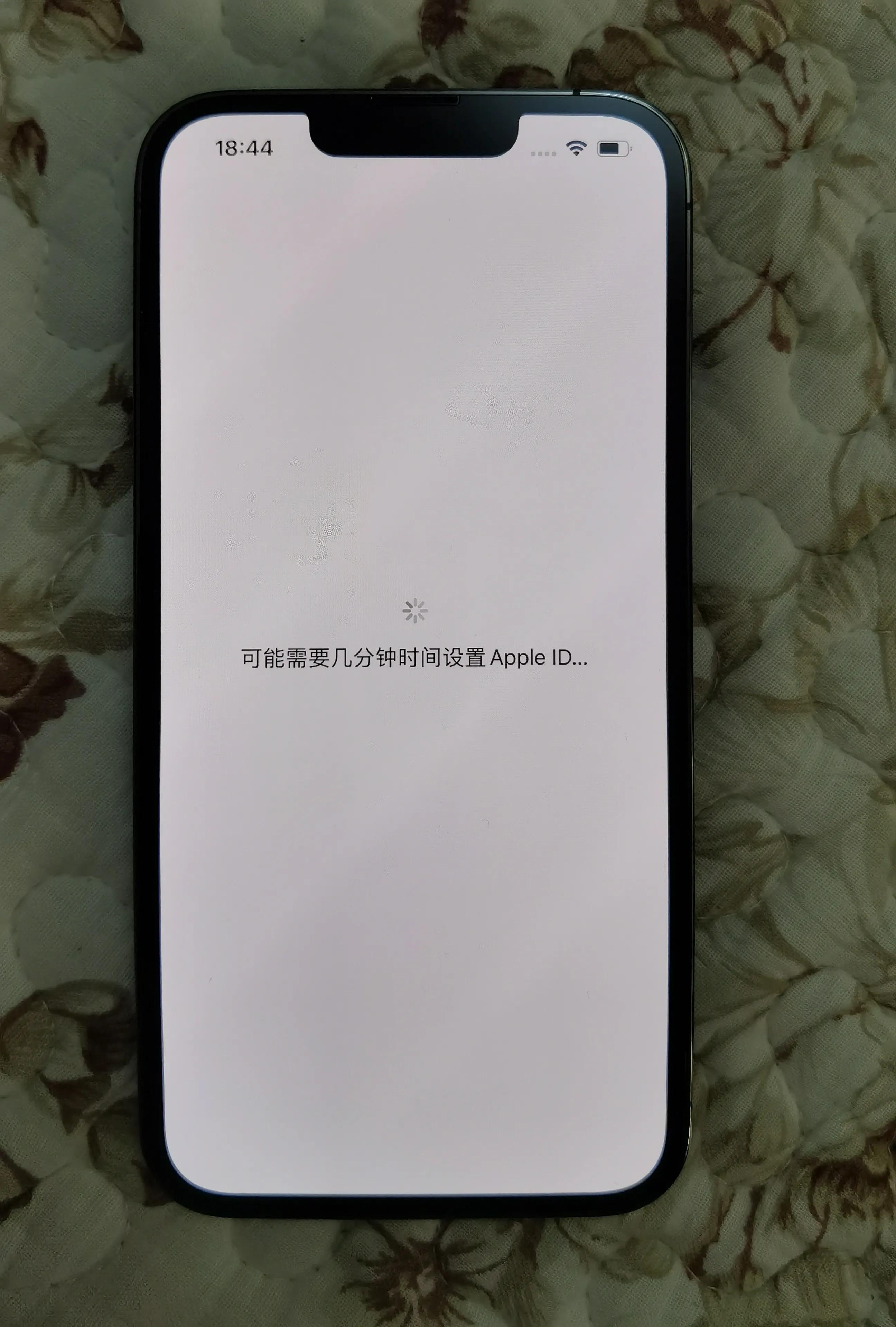 关于苹果13的大黑边