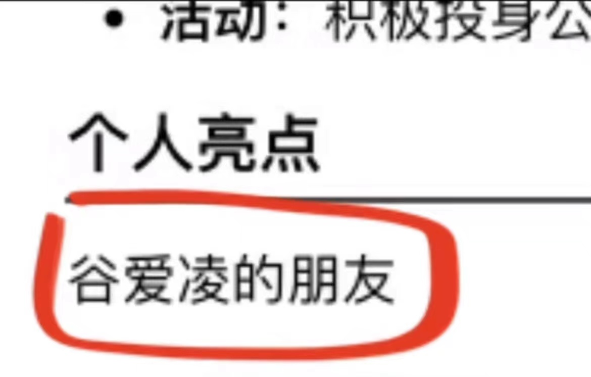 00后简历有多“野”？“谷爱凌朋友”成亮点，这种简历能看一天