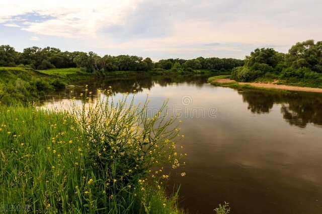 几本爆笑神级沙雕小说，脑洞清奇搞笑不断，看完不笑的绝对不一般