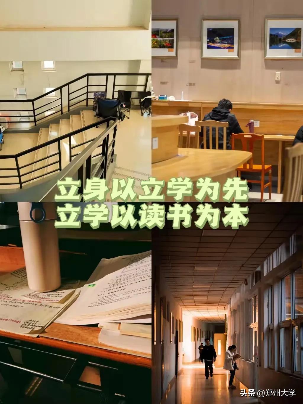 “格式化”看郑大