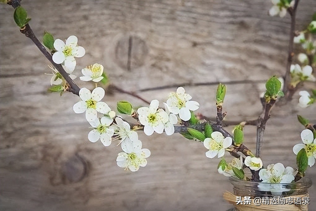 让灵魂，在风雨中学会微笑