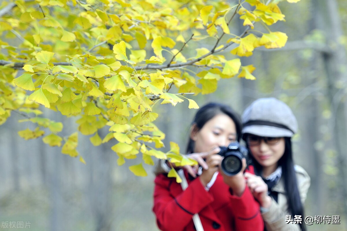 初冬秋意浓，学点“高级的”摄影技巧，把照片拍得精致一点