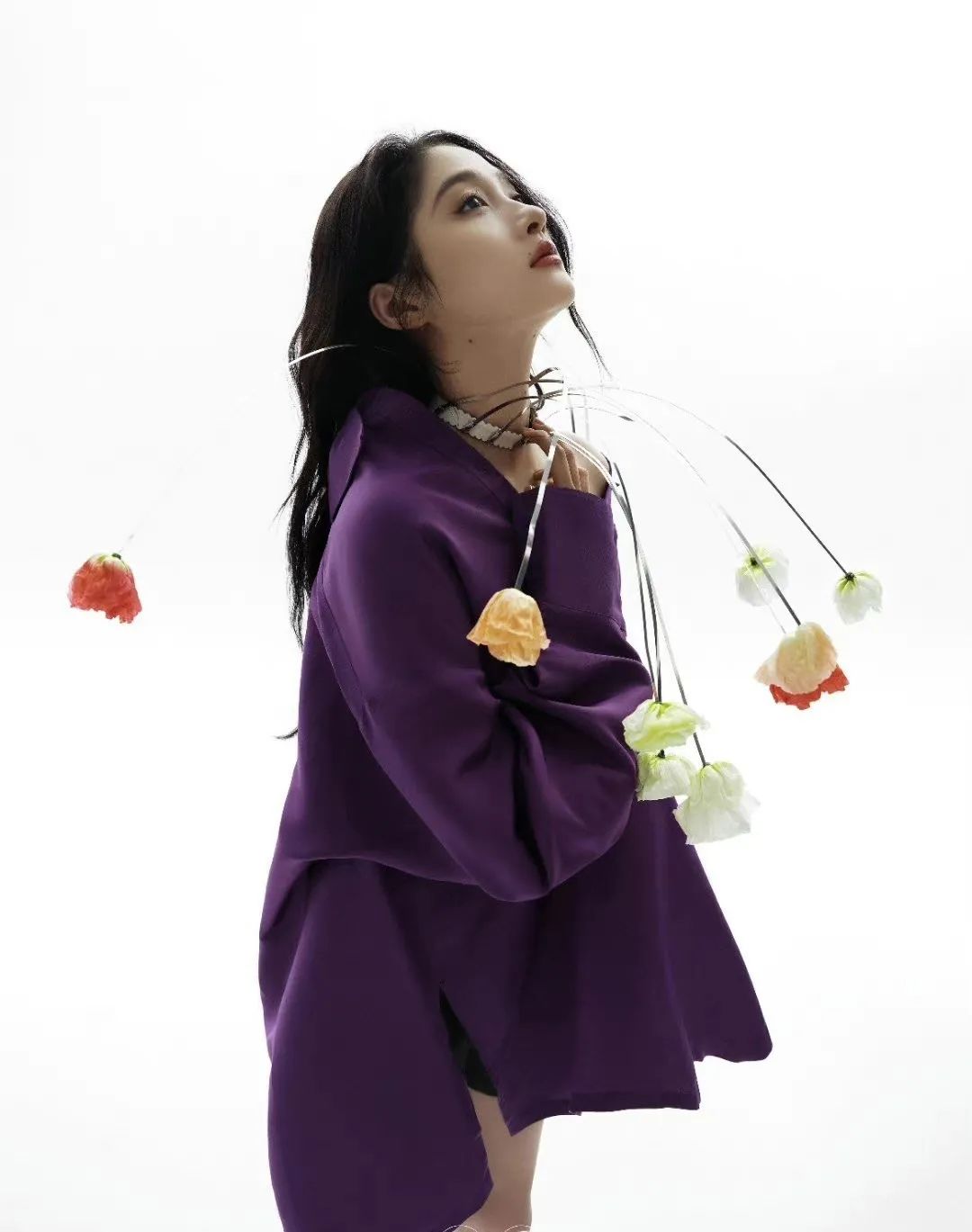 李晨，贾乃亮，李雪琴，关晓彤，张大大