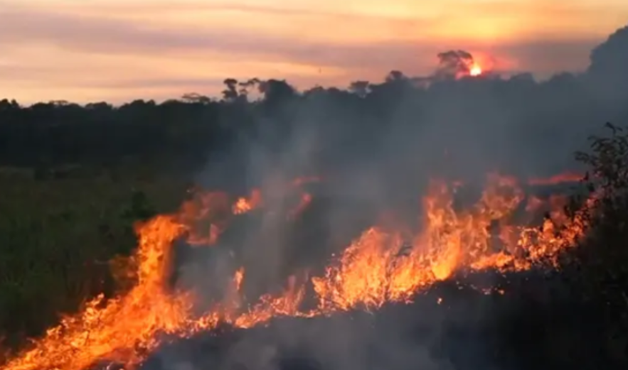 йɳĮɭֿ֣ȴ67%ȵĸԴҵˣ