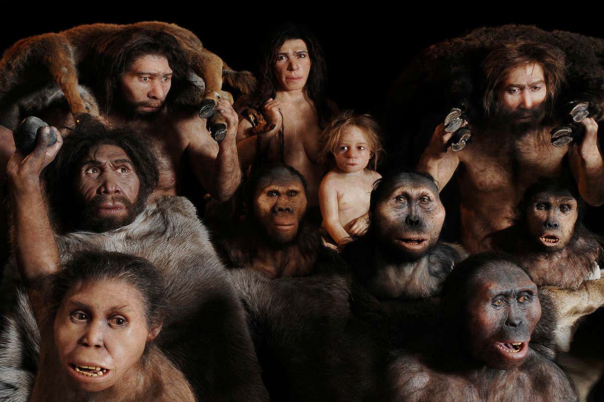人类十二个种族(10万年前，地球至少还有6种人类，为何最后只剩下我们？)