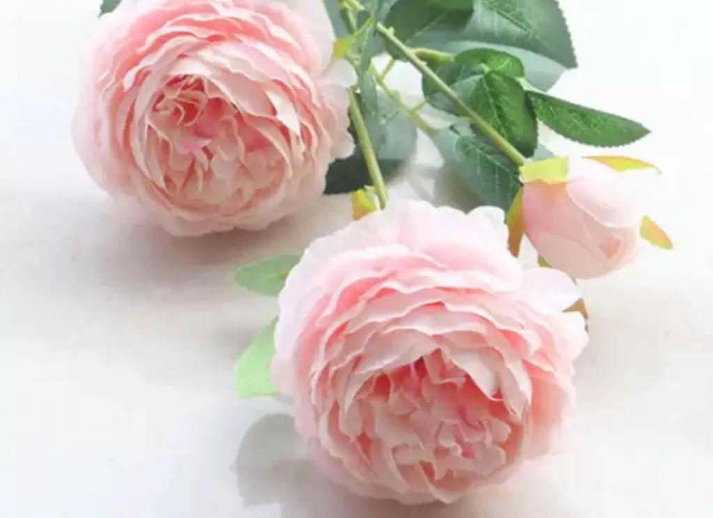 《增廣賢文》中有關(guān)處世態(tài)度的10句話
