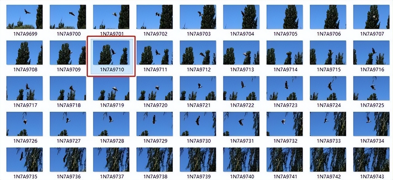 佳能EOS R7评测：全能的便携微单相机