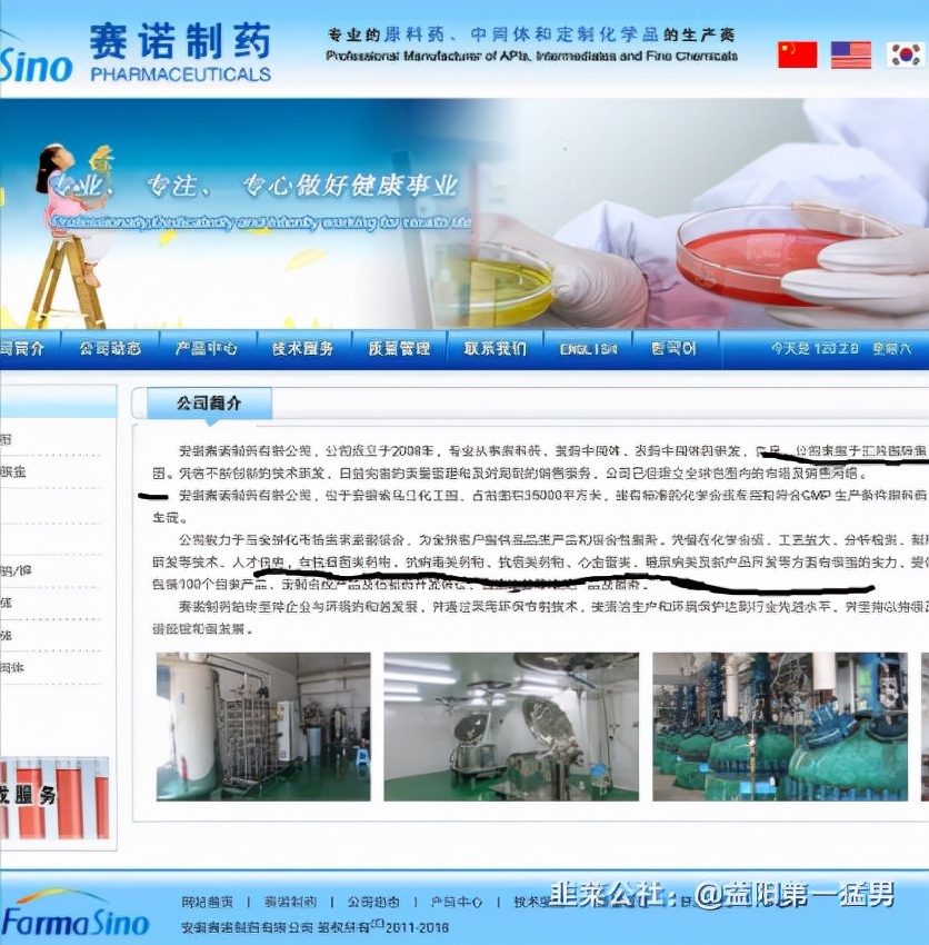 汇鸿集团：辉瑞利托那韦生产 抗流感病毒药 对标精华制药 中药 医药