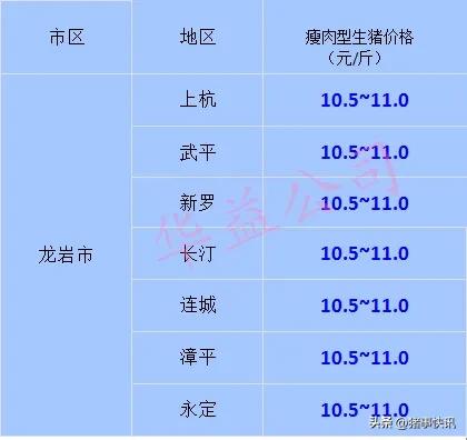 福建今日大猪价（福建今日猪价12月14日）