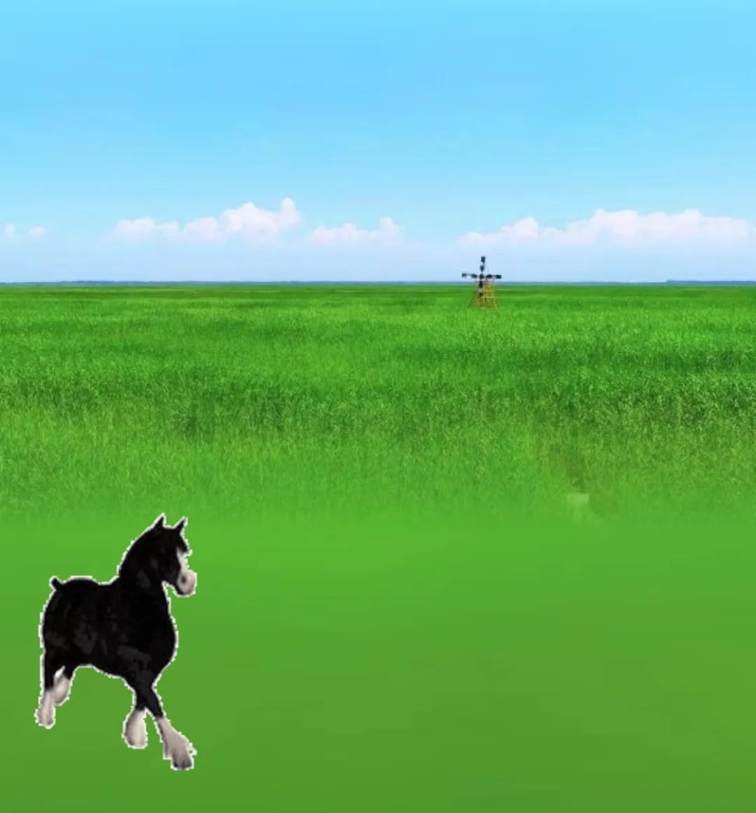 全網(wǎng)最全梳理：微信農(nóng)場里的小動物都是啥？能養(yǎng)真的么？