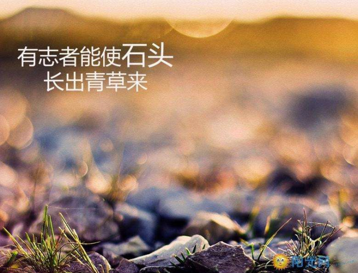 文章阅读量低怎么破？掌握6大技巧助力小白打造公众号爆文