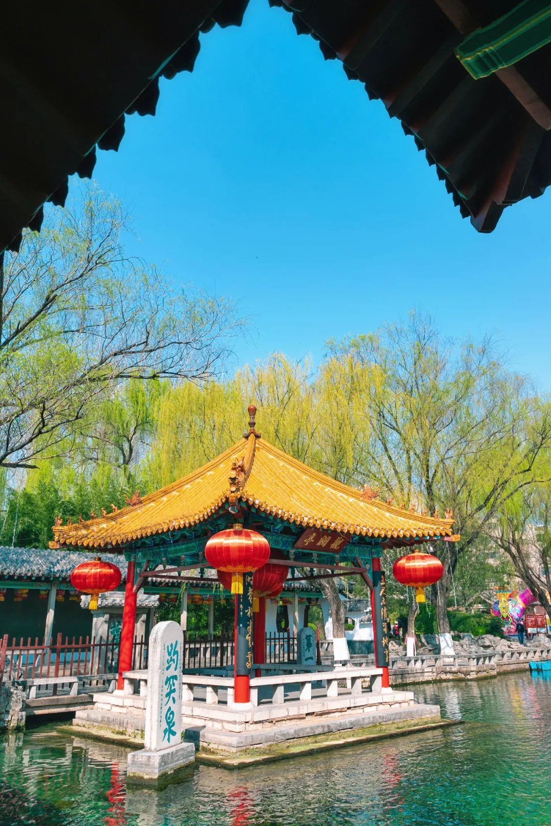 你一句春不晚，我就到了曼妙的山东！
