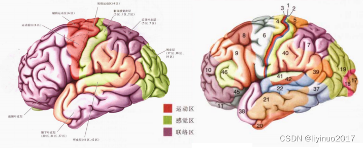 人脑是一台计算机吗？