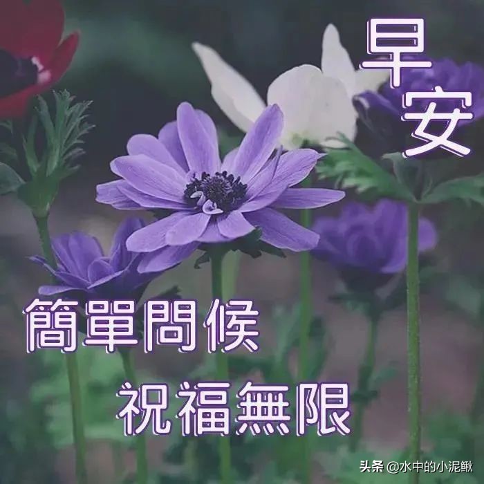 朋友圈2022最新正能量励志早安句子，抖音经典语录正能量句子