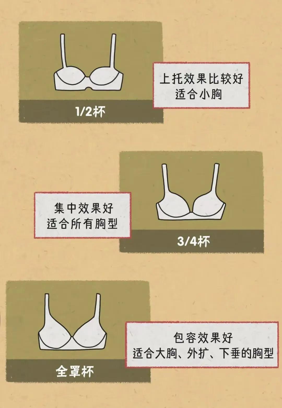 صĴСô֣صĴСôͺţ-8ͼƬ-ǱϢ(wang)