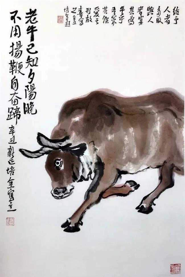 本命丑牛—知天命而后乐