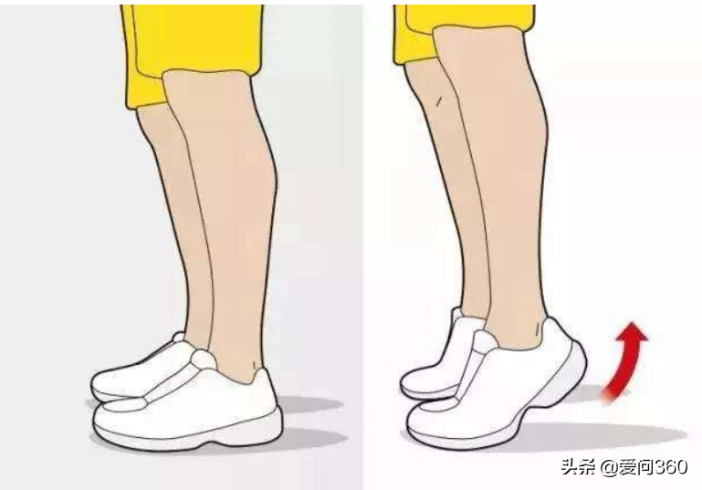 多做“踮脚尖”好处多，能促进血液循环，对痔疮也有好处
