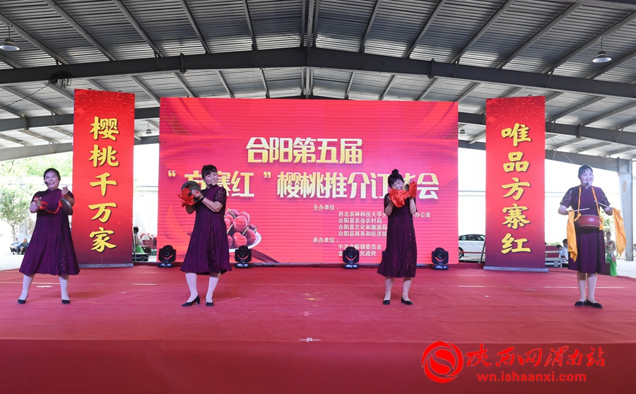 櫻桃千萬家 唯品方寨紅 合陽第五屆“方寨紅”櫻桃推介會舉辦（高清組圖）