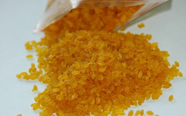 营养学家罗云波：实事求是谈谈转基因食品