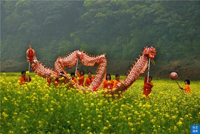 阳春三月，广东石门油菜花田乡村美，春天赏花拍照踏青好去处