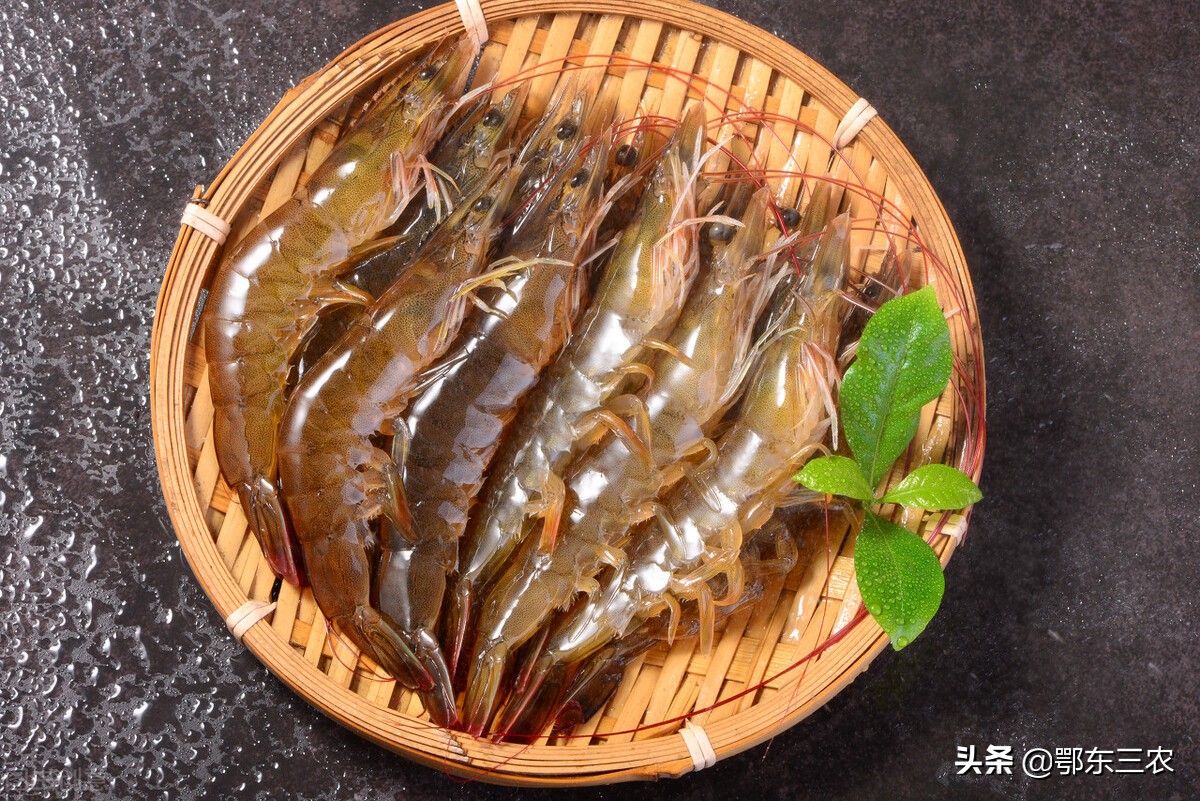 入伏前基围虾暴跌至18元一斤,太便宜了,背后的原因在于产量上